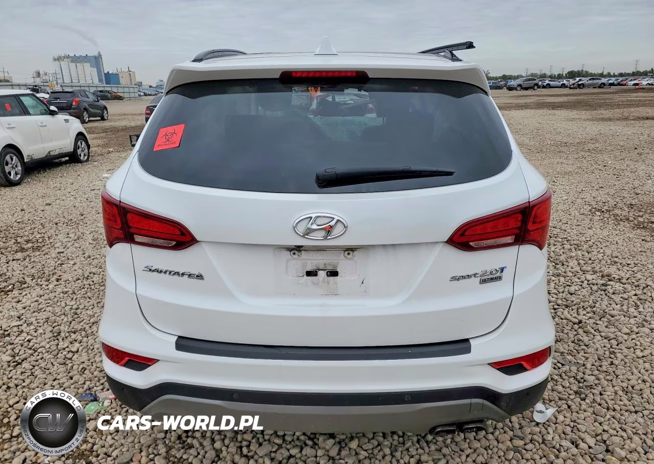 2017 Hyundai Santa Fe Sport 2.0T Ultimate VIN:5XYZW4LA7HG386794 - 6