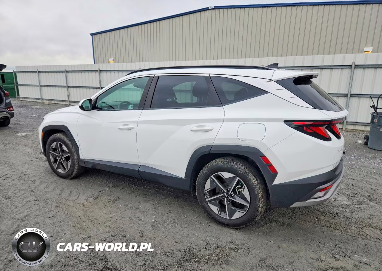 2025 Hyundai Tucson Sel VIN:5NMJB3DEXSH480749 - 2