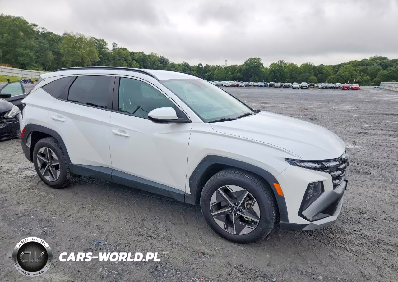 2025 Hyundai Tucson Sel VIN:5NMJB3DEXSH480749 - 4