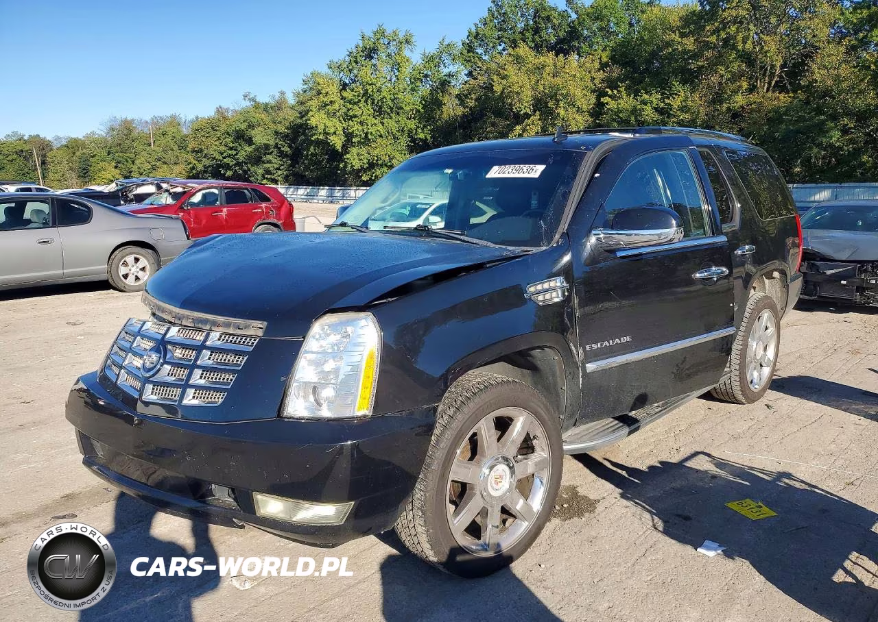 2011 Cadillac Escalade Luxury VIN:1GYS4BEFXBR265345 - 1