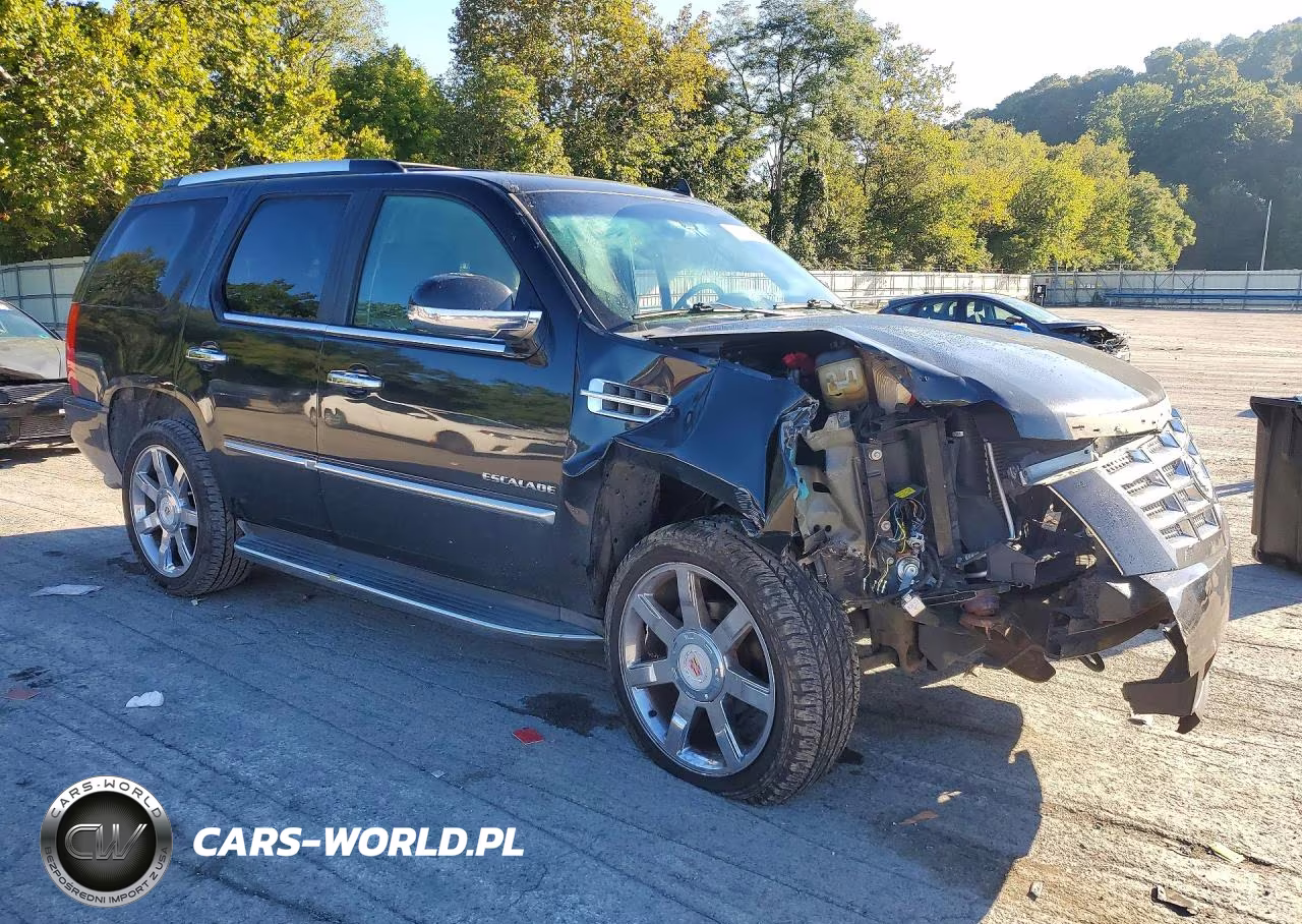 2011 Cadillac Escalade Luxury VIN:1GYS4BEFXBR265345 - 4