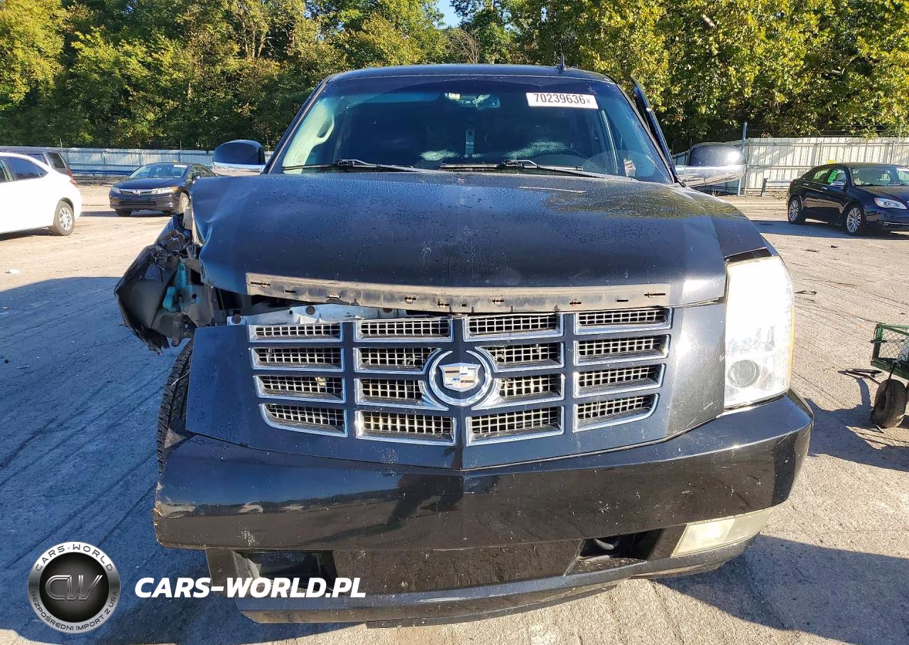 2011 Cadillac Escalade Luxury VIN:1GYS4BEFXBR265345 - 5
