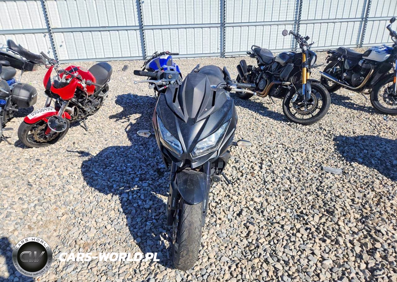 2019 Kawasaki Kle650 F VIN:JKALEEF17KDA31296 - 2