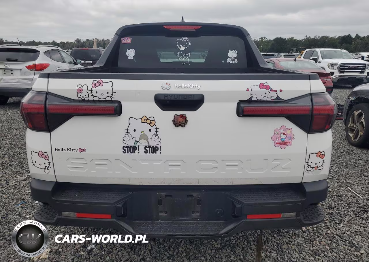 2025 Hyundai Santa Cruz Sel VIN:5NTJB4DE6SH126768 - 6