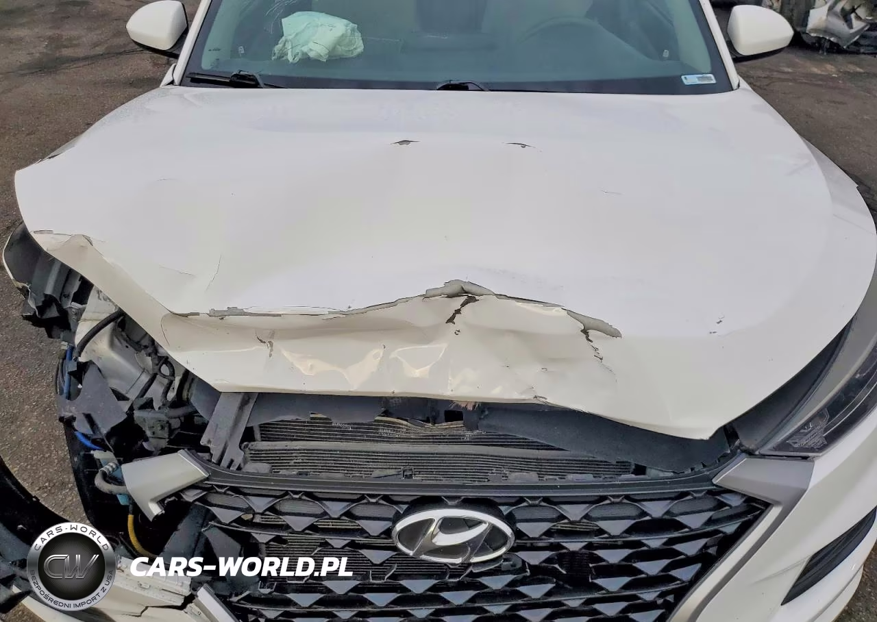 2019 Hyundai Tucson Sel VIN:KM8J3CALXKU850960 - 12