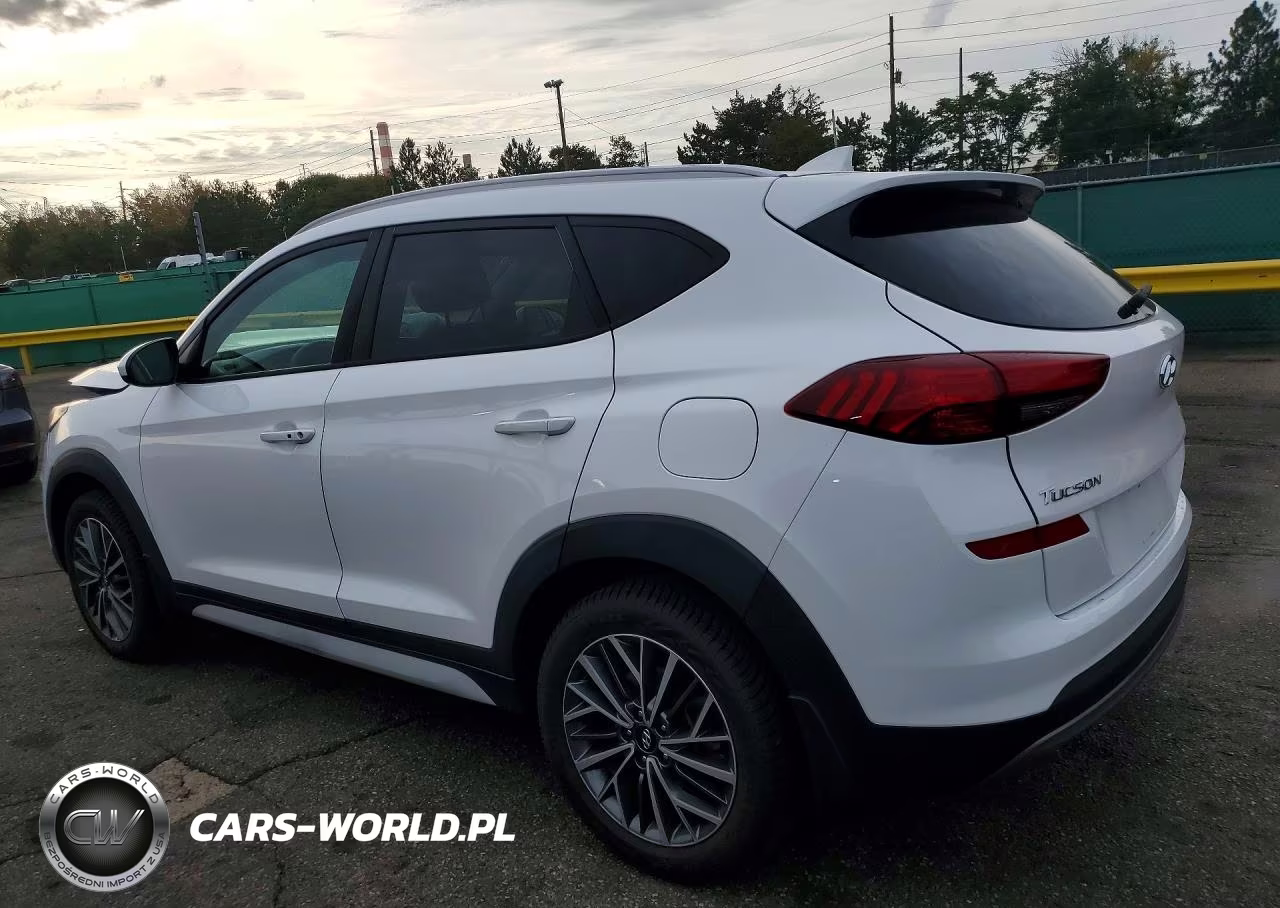 2019 Hyundai Tucson Sel VIN:KM8J3CALXKU850960 - 2