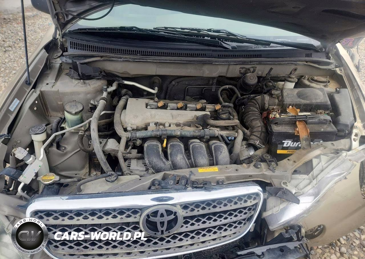 2005 Toyota Corolla Ce VIN:1NXBR32E25Z450320 - 11