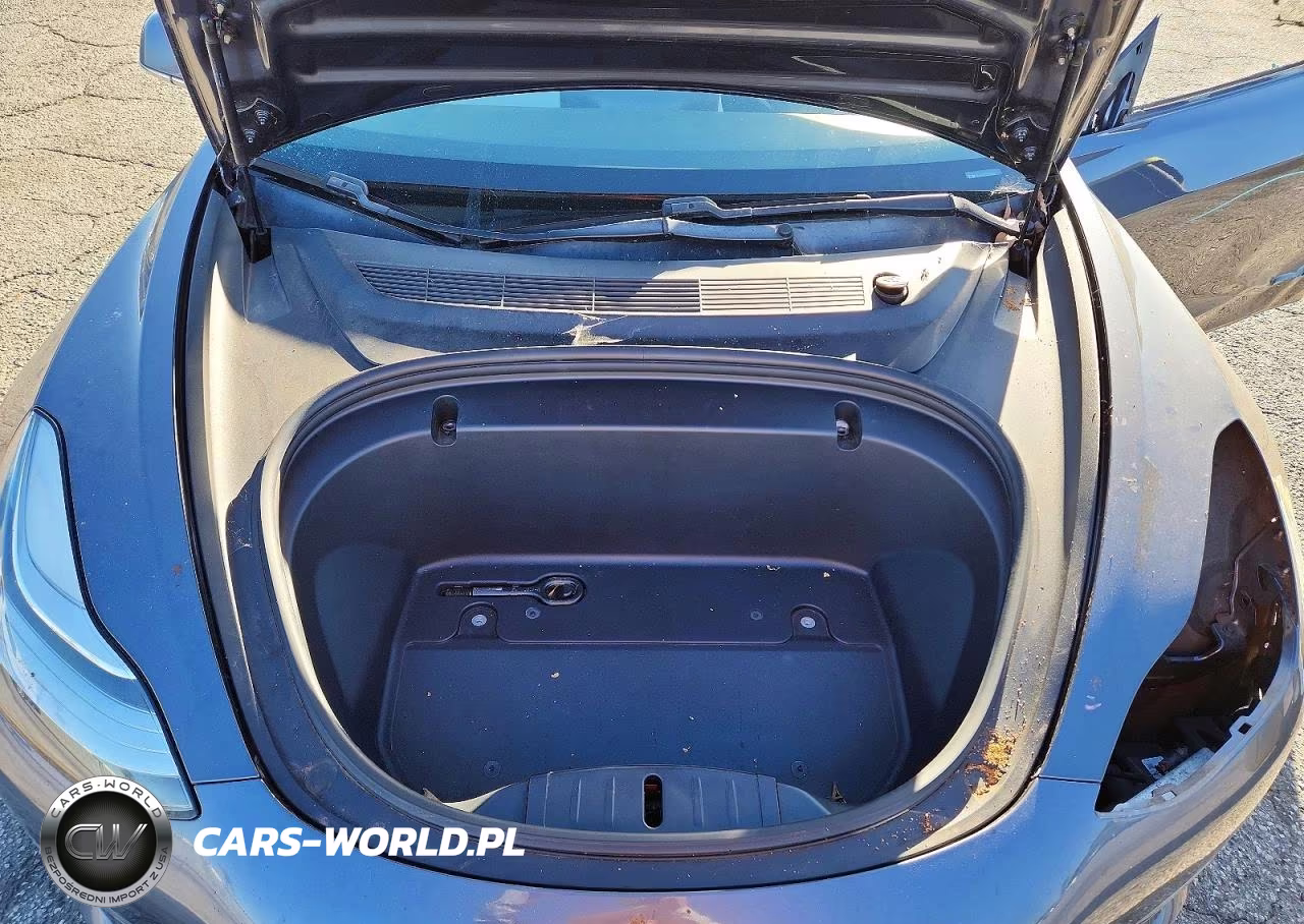 2020 Tesla Model 3 VIN:5YJ3E1EA2LF738118 - 11