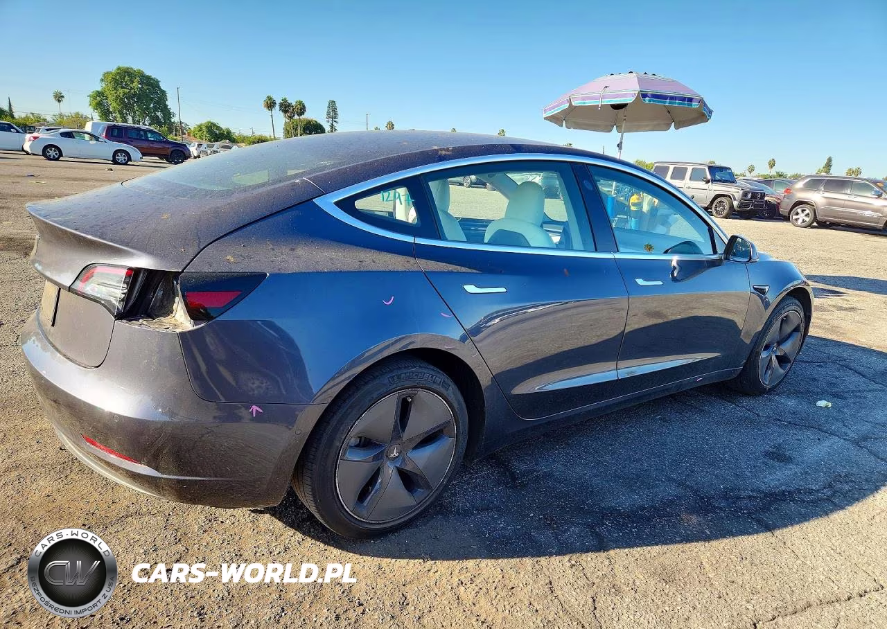 2020 Tesla Model 3 VIN:5YJ3E1EA2LF738118 - 3