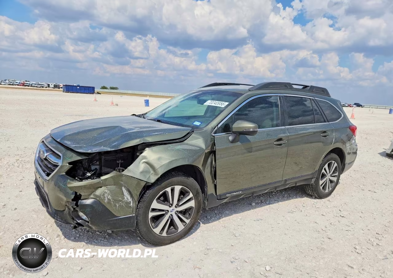 2019 Subaru Outback 2.5I Limited VIN:4S4BSANC6K3282816 - 1