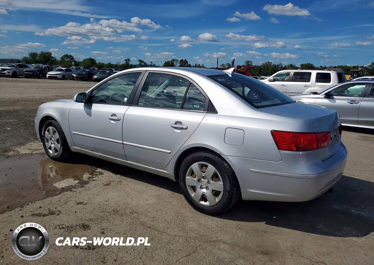 2010 Hyundai Sonata Gls VIN:5NPET4AC7AH601553 - 2
