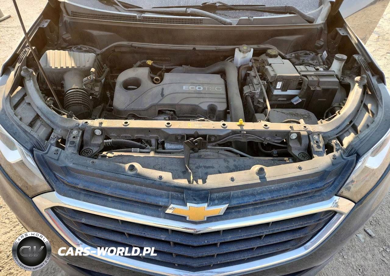 2021 Chevrolet Equinox Ls VIN:2GNAXHEV1M6120624 - 12