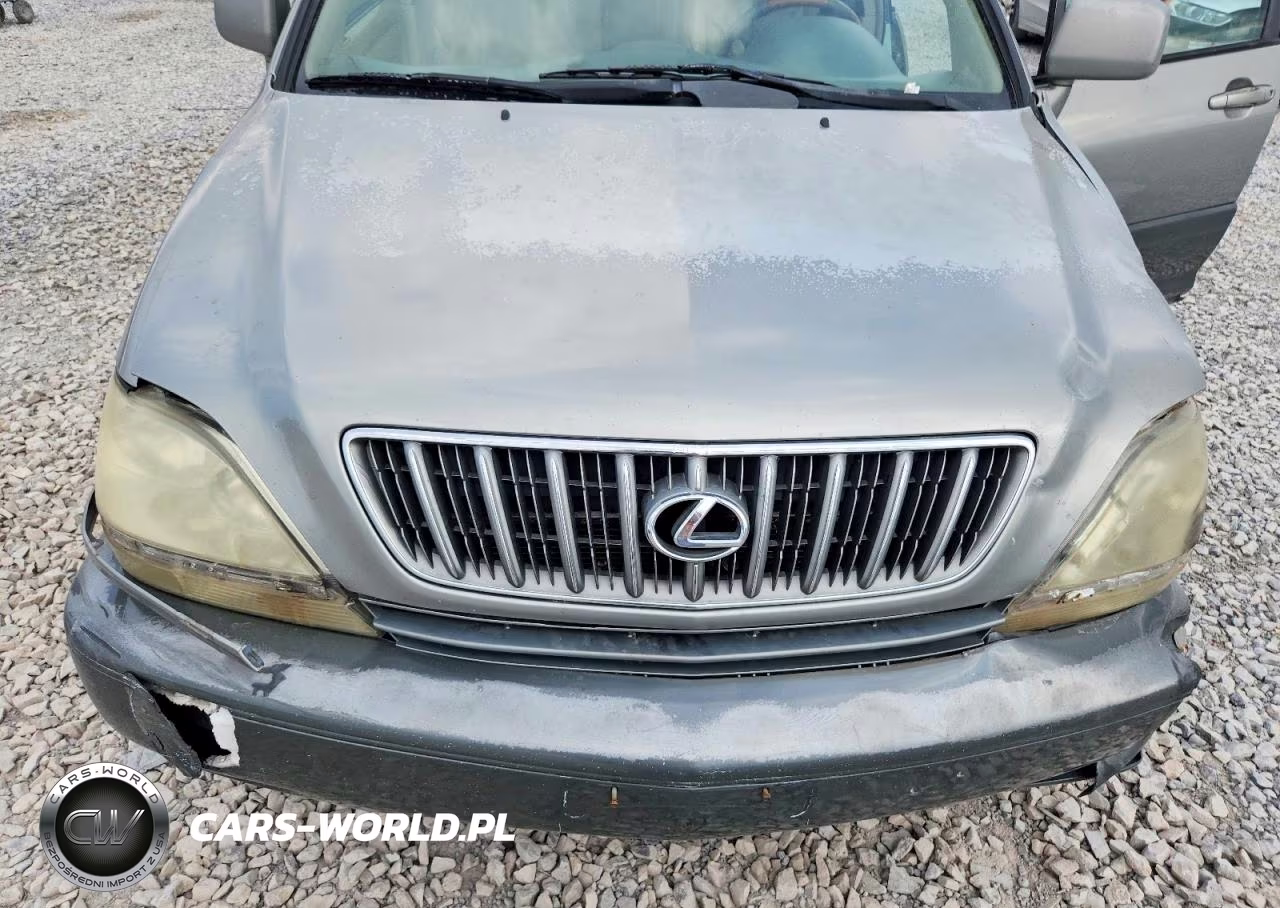 2001 Lexus Rx 300 VIN:JTJGF10UX10088995 - 12