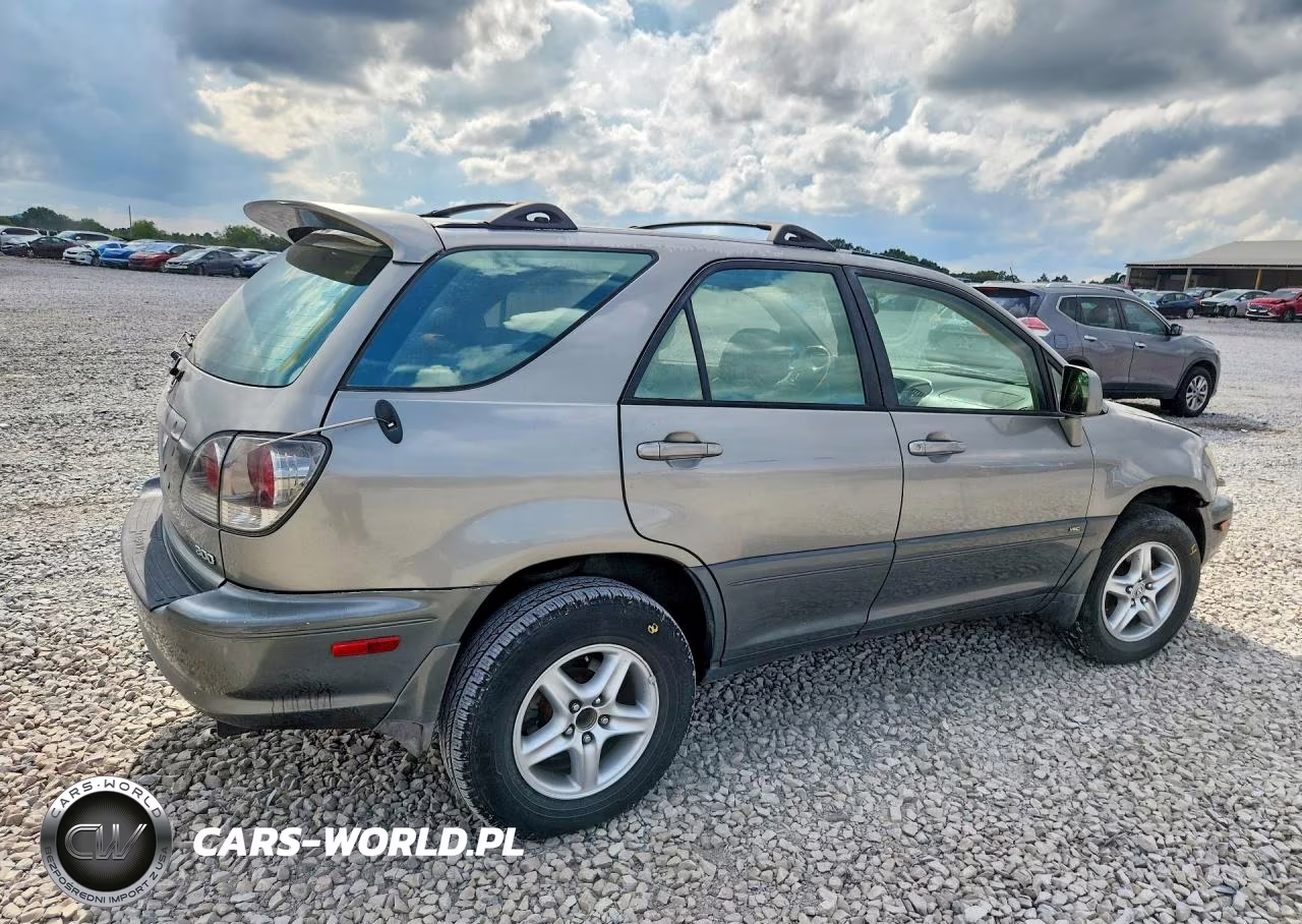 2001 Lexus Rx 300 VIN:JTJGF10UX10088995 - 3