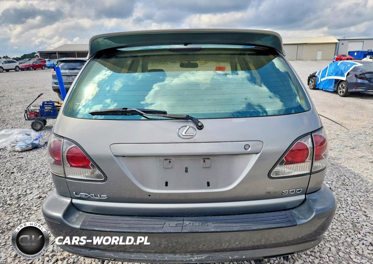 2001 Lexus Rx 300 VIN:JTJGF10UX10088995 - 6