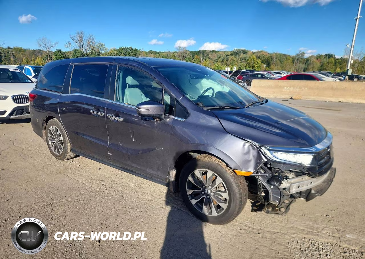 2024 Honda Odyssey Exl VIN:5FNRL6H65RB053950 - 4