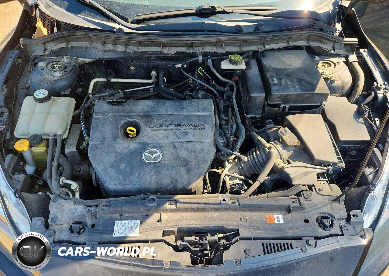 2010 Mazda 3 I VIN:JM1BL1SF2A1151747 - 11