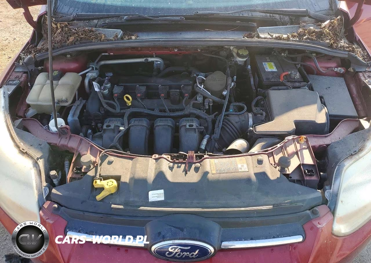 2014 Ford Focus Se VIN:1FADP3F24EL425644 - 11