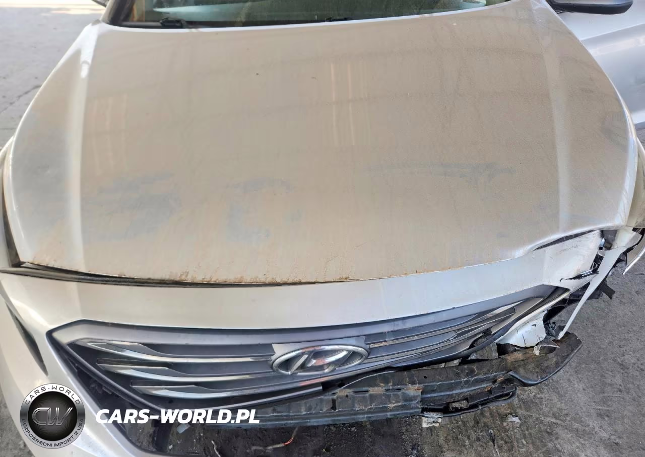 2016 Hyundai Sonata Sport VIN:5NPE34AF2GH352906 - 11