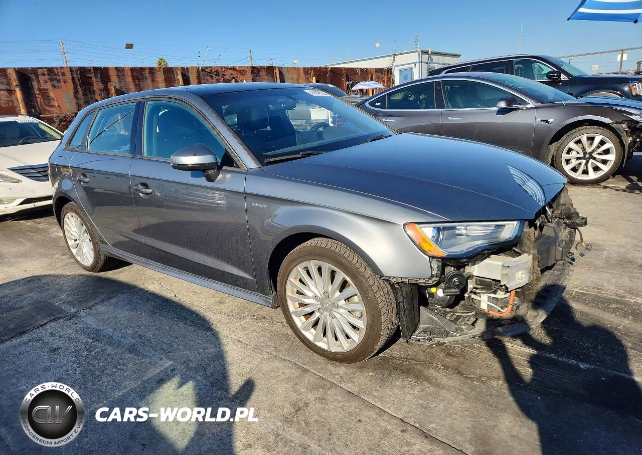 2016 Audi A3 E-Tron Premium VIN:WAUUPBFF0GA156982 - 4