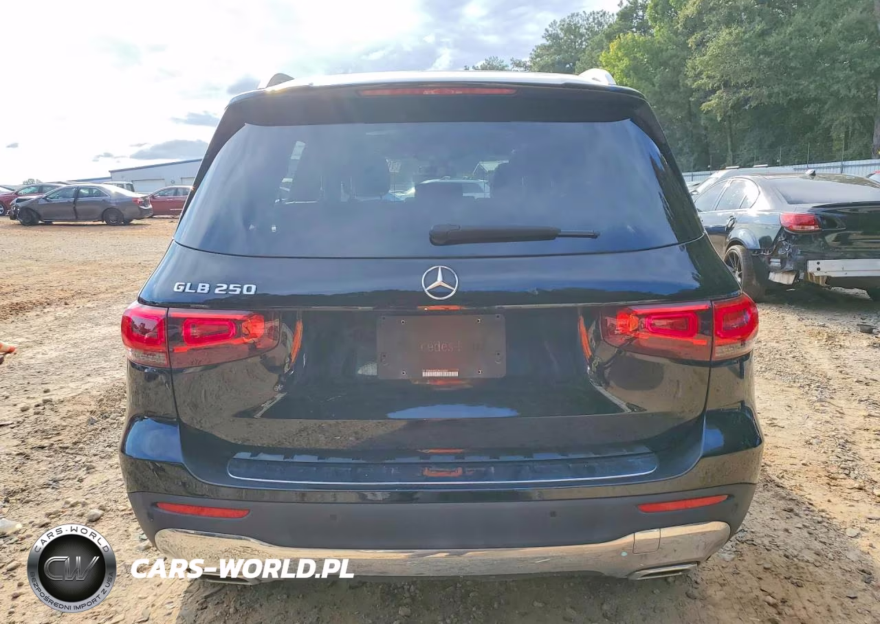 2020 Mercedes-Benz Glb 250 VIN:W1N4M4GB7LW013696 - 6