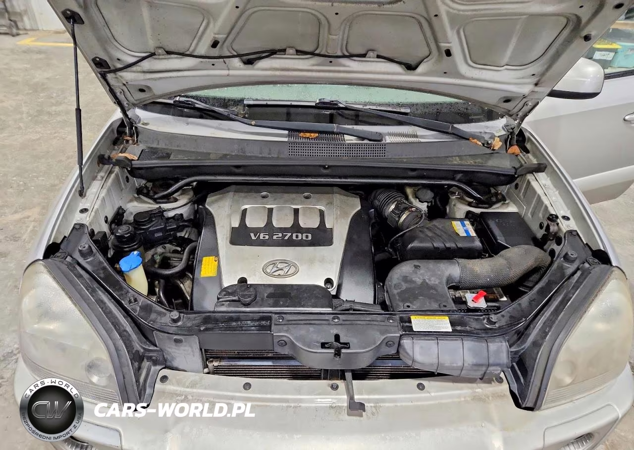 2006 Hyundai Tucson Gls VIN:KM8JN72D56U349165 - 12