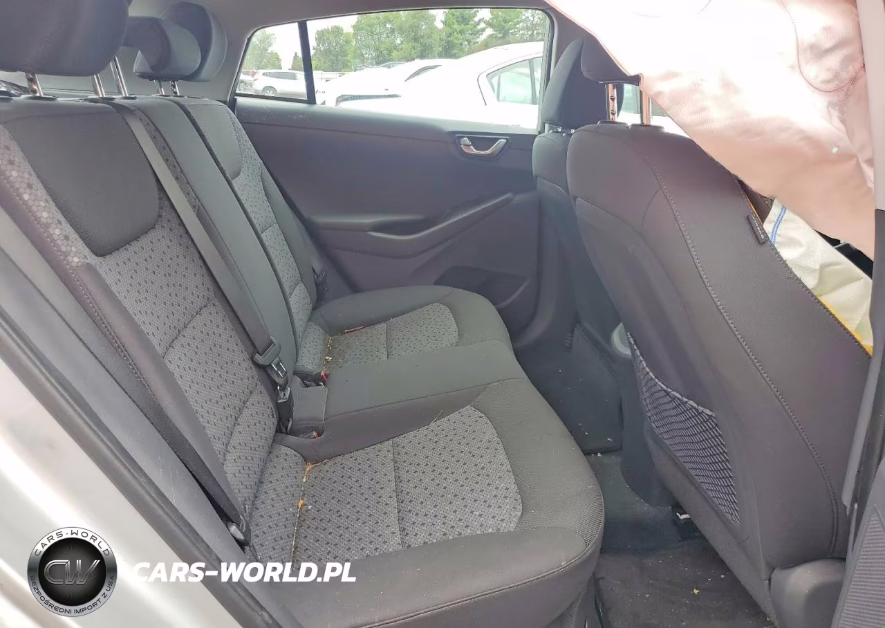 2019 Hyundai Ioniq Blue VIN:KMHC65LC8KU140805 - 10