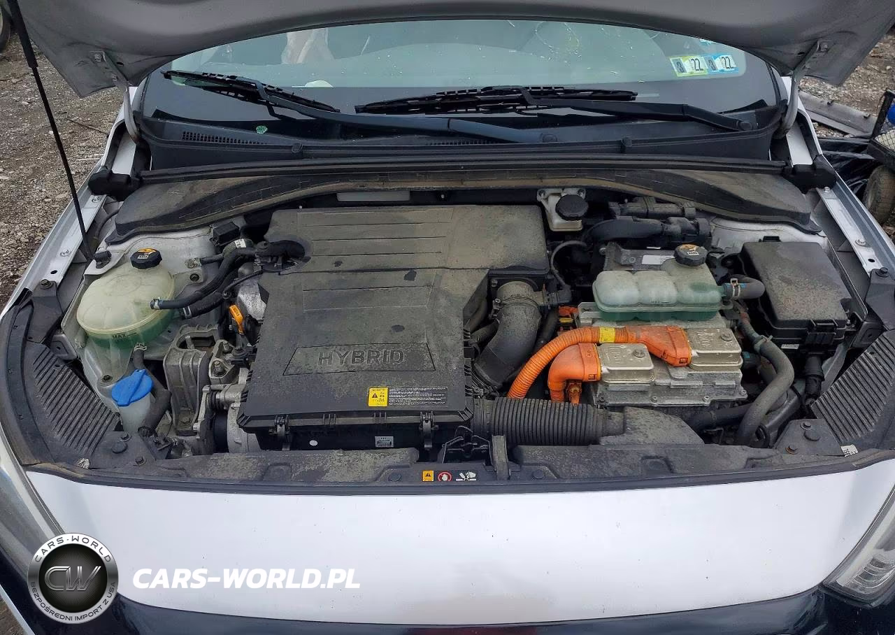 2019 Hyundai Ioniq Blue VIN:KMHC65LC8KU140805 - 11