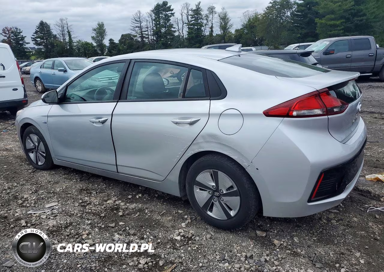 2019 Hyundai Ioniq Blue VIN:KMHC65LC8KU140805 - 2