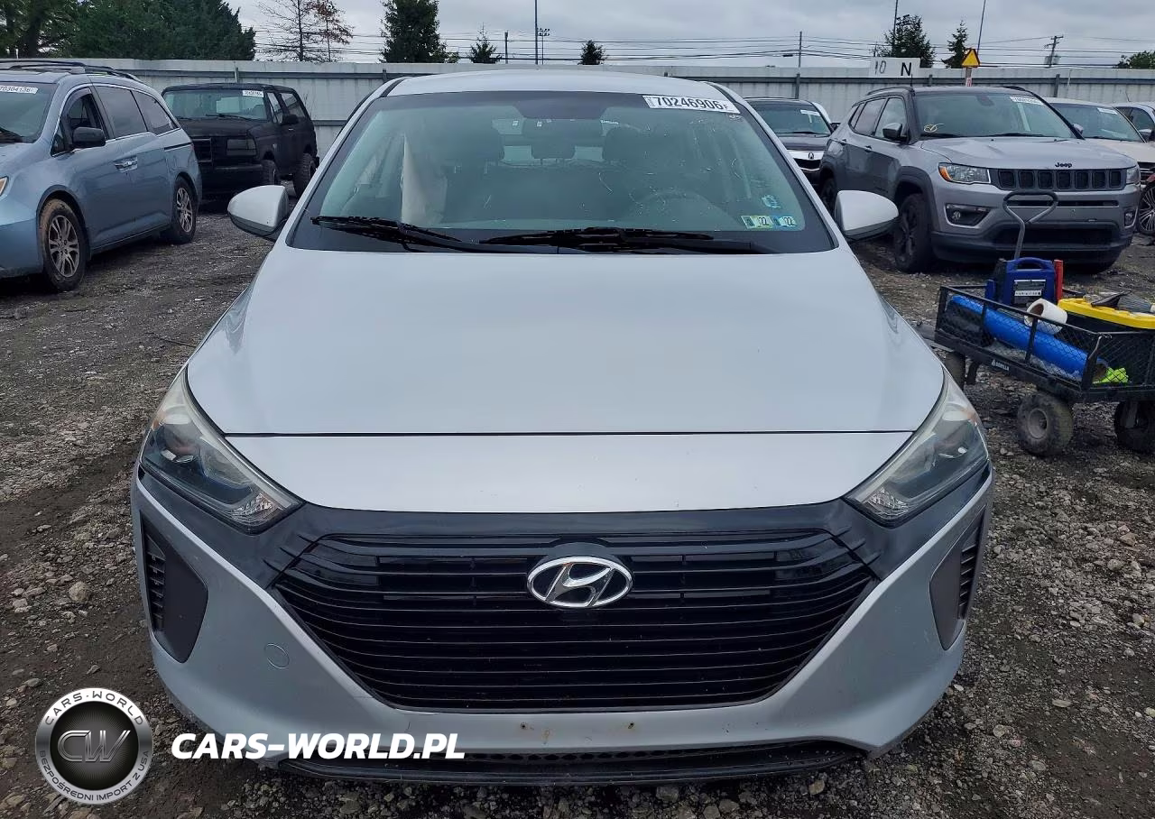 2019 Hyundai Ioniq Blue VIN:KMHC65LC8KU140805 - 5