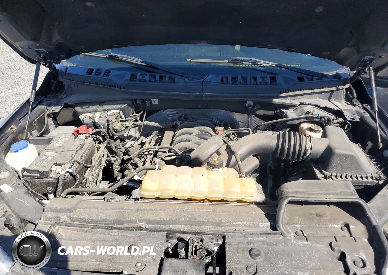 2020 Ford F150 Supercrew VIN:1FTEW1E57LFB06915 - 11