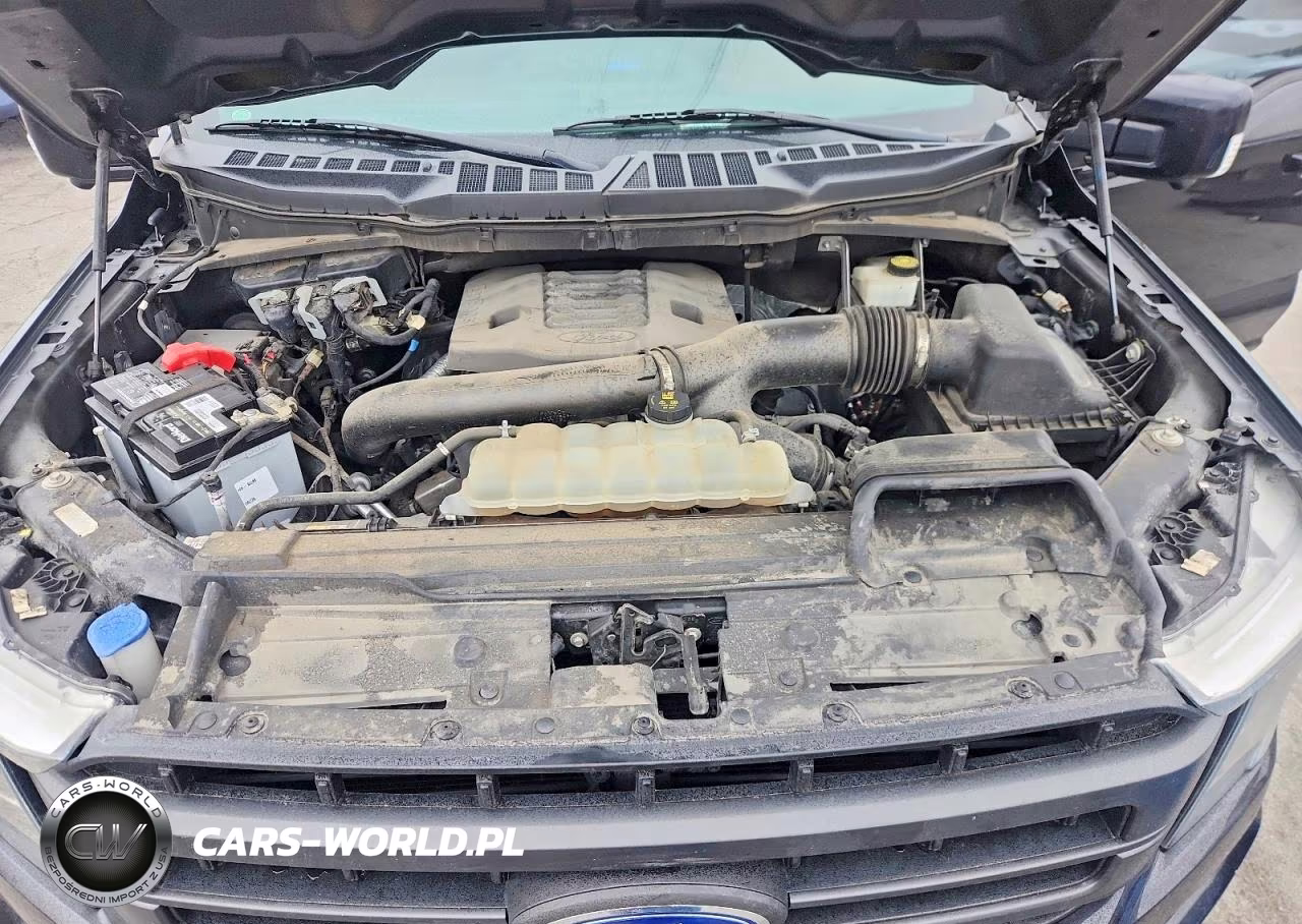 2021 Ford F150 Supercrew VIN:1FTFW1E80MFC48880 - 11