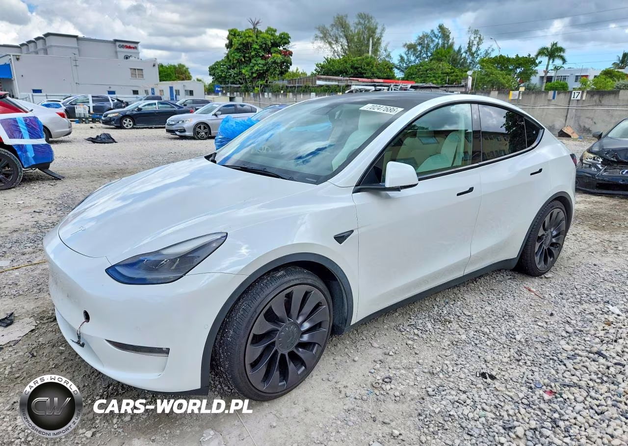 2022 Tesla Model Y