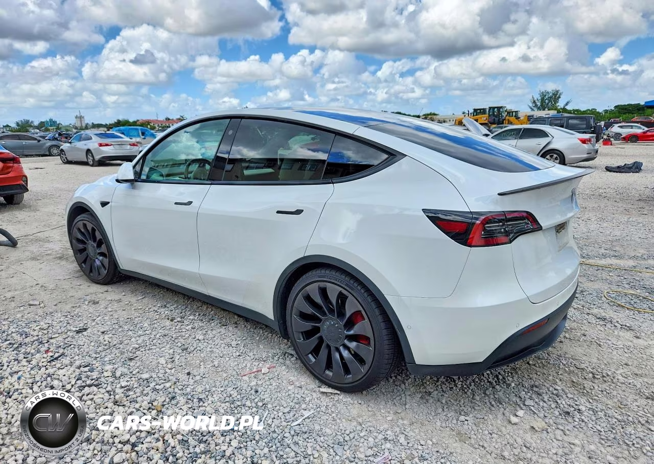 2022 Tesla Model Y VIN:7SAYGDEF4NF322736 - 2
