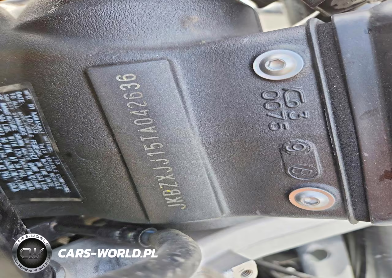 2026 Kawasaki Zx636 K VIN:JKBZXJJ15TA042636 - 9