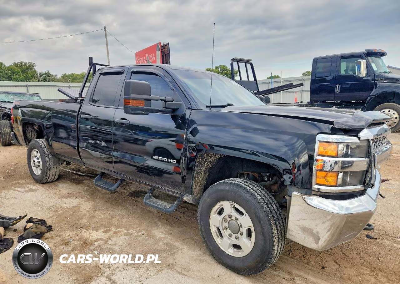 2019 Chevrolet Silverado K2500 Heavy Duty VIN:2GC2KREG6K1198670 - 4