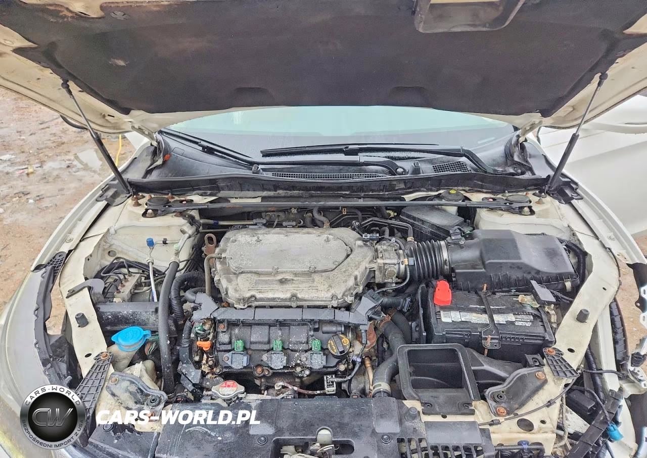 2013 Honda Accord Exl VIN:1HGCR3F8XDA006388 - 11