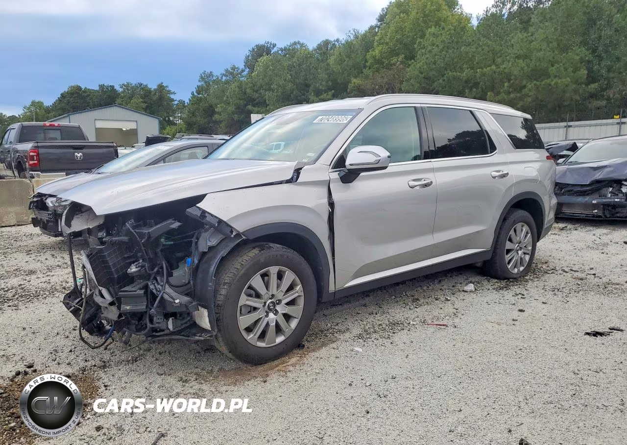 2025 Hyundai Palisade Sel VIN:KM8R24GE5SU951022 - 1
