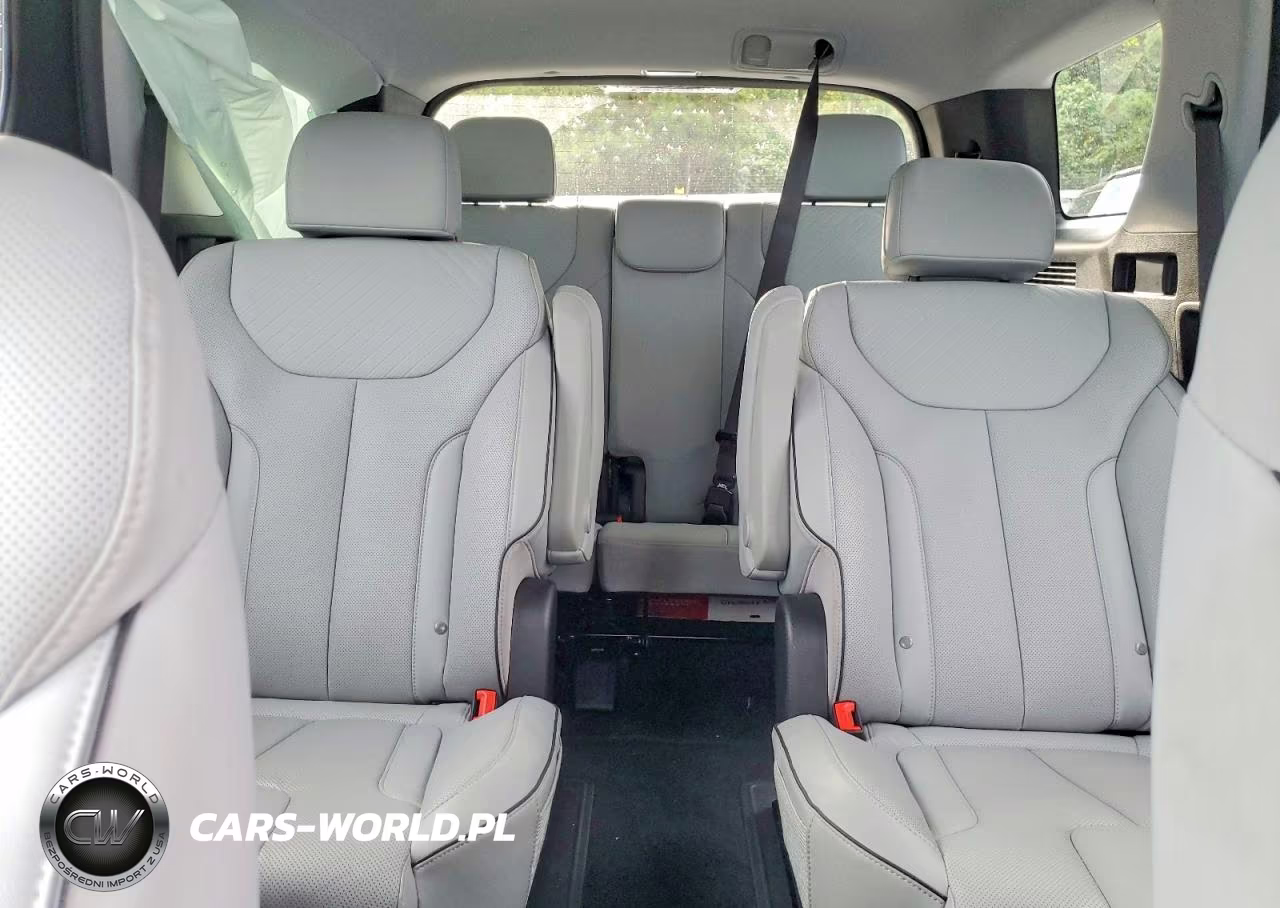 2025 Hyundai Palisade Sel VIN:KM8R24GE5SU951022 - 10