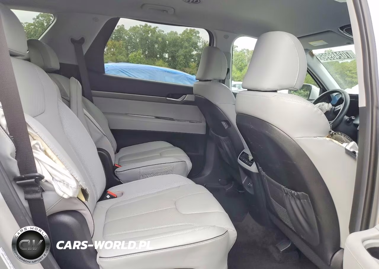 2025 Hyundai Palisade Sel VIN:KM8R24GE5SU951022 - 11