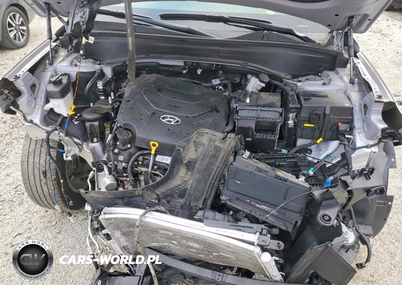 2025 Hyundai Palisade Sel VIN:KM8R24GE5SU951022 - 12