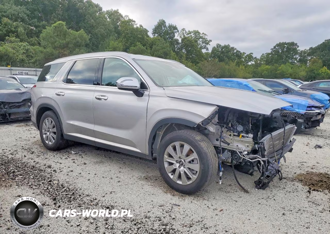 2025 Hyundai Palisade Sel VIN:KM8R24GE5SU951022 - 4
