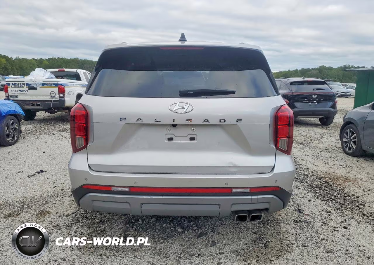 2025 Hyundai Palisade Sel VIN:KM8R24GE5SU951022 - 6