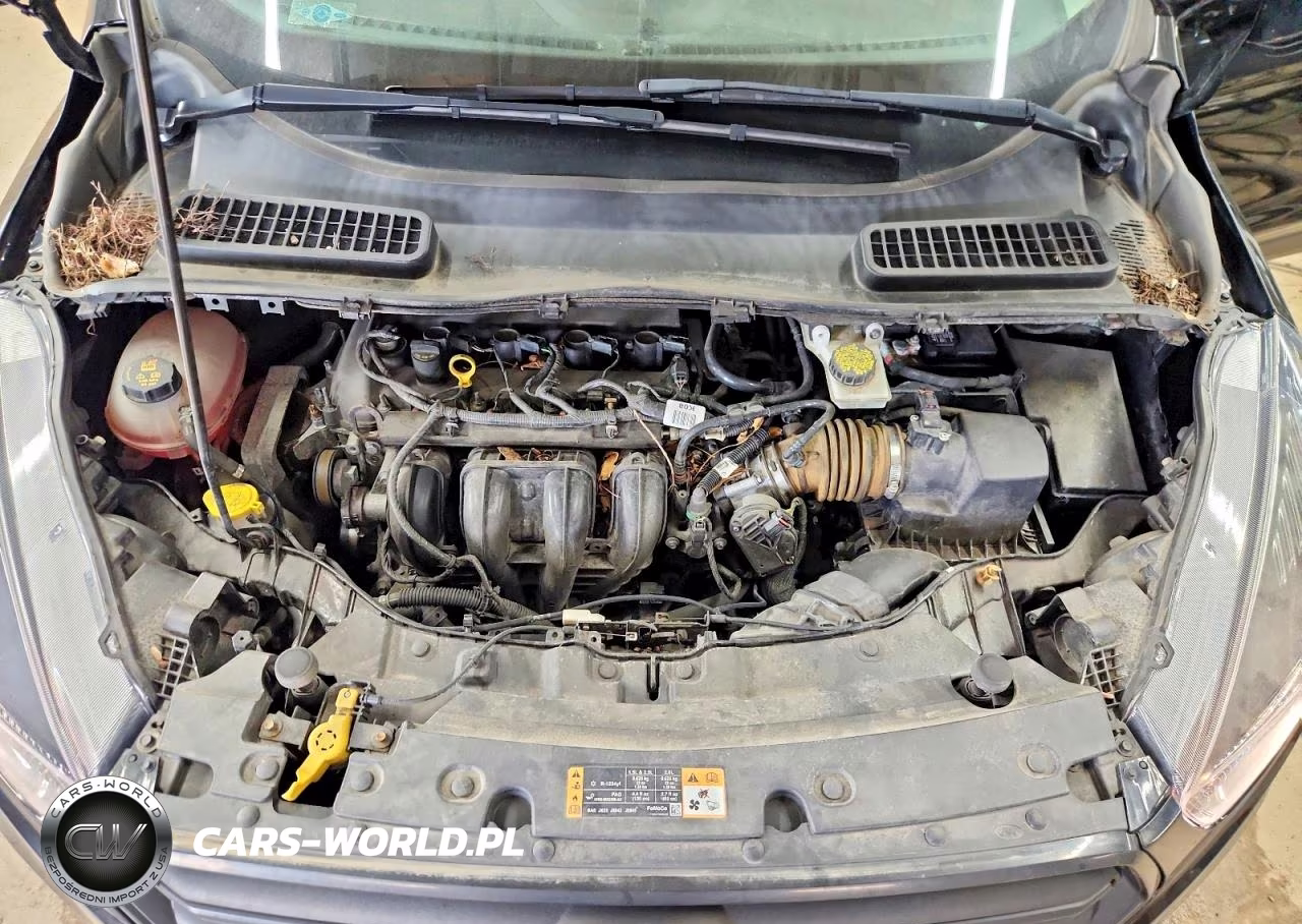 2018 Ford Escape S VIN:1FMCU0F74JUD01589 - 11