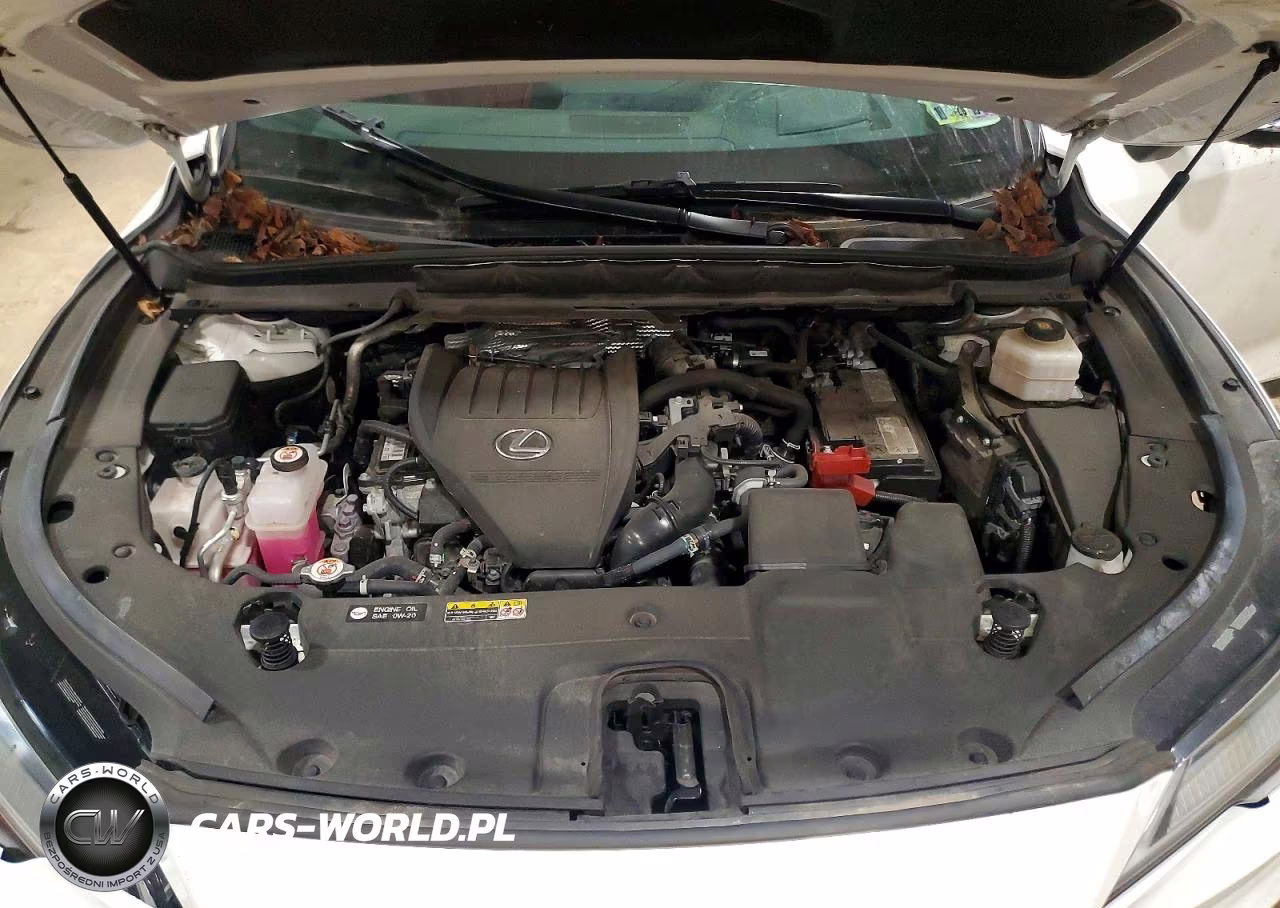 2023 Lexus Rx 350 F Sport Handling VIN:2T2BAMCA2PC020702 - 12