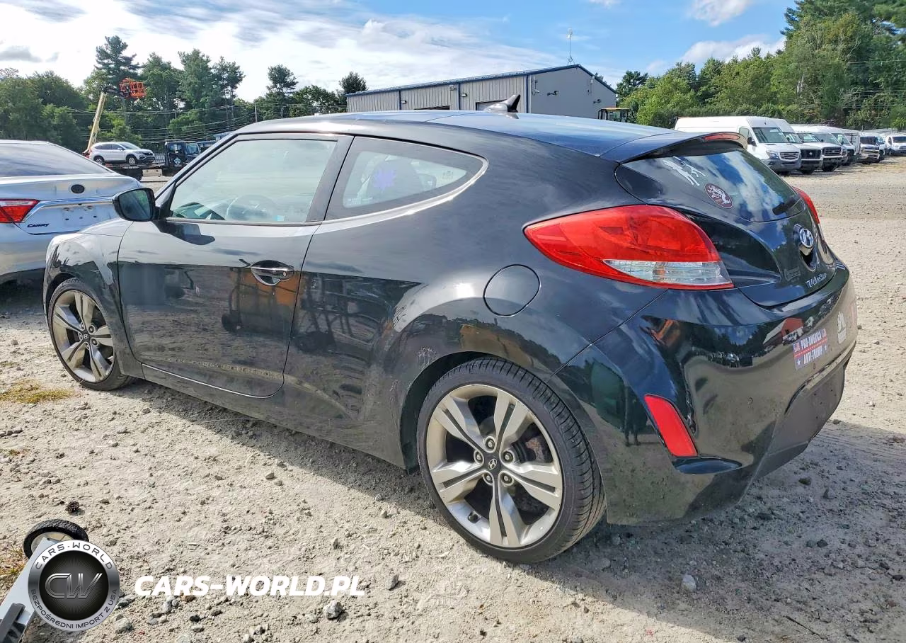 2013 Hyundai Veloster Base VIN:KMHTC6AD3DU144385 - 2