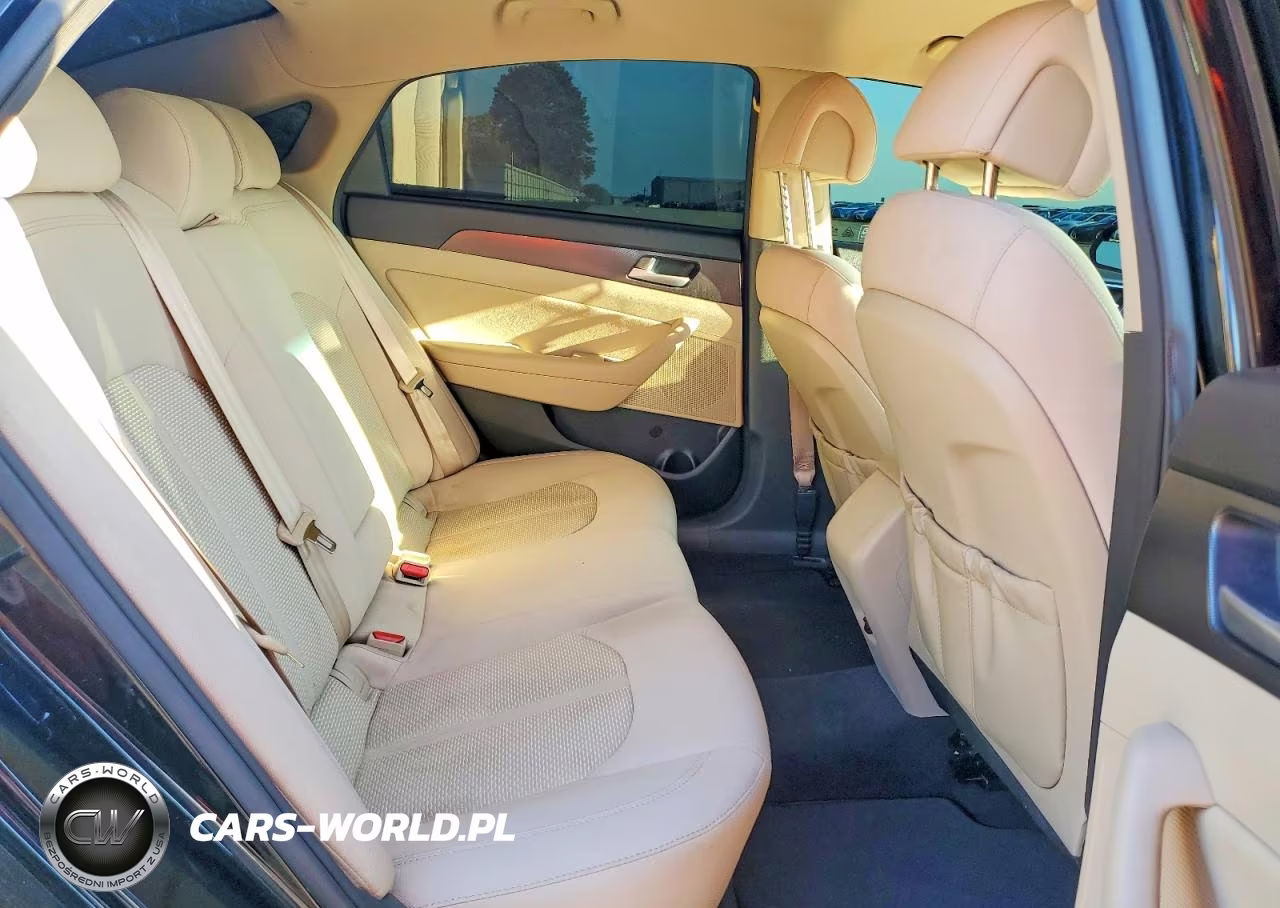 2015 Hyundai Sonata Sport VIN:5NPE34AF0FH086333 - 10