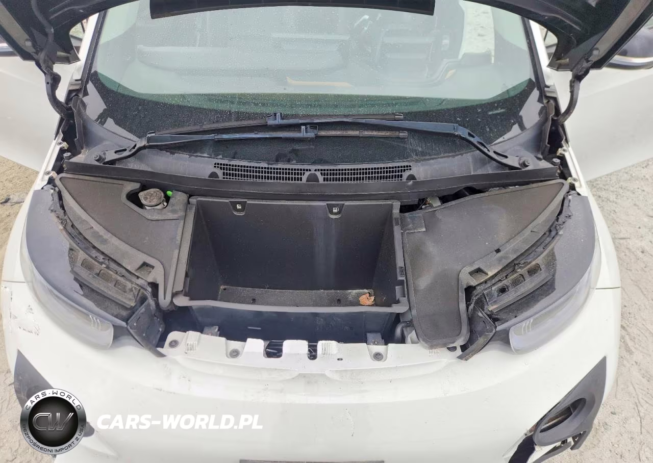 2016 BMW I3 Rex VIN:WBY1Z4C5XGV507914 - 11