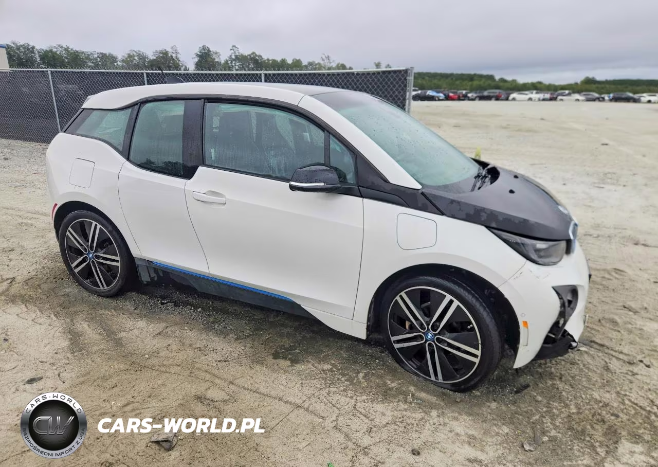 2016 BMW I3 Rex VIN:WBY1Z4C5XGV507914 - 4