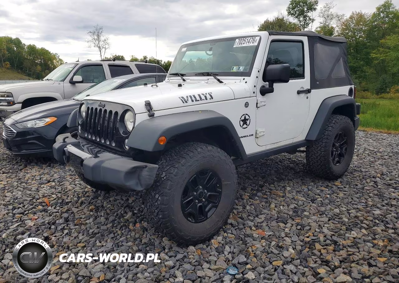 2014 Jeep Wrangler Sport VIN:1C4AJWAGXEL304975 - 1